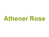 Athener Rose Logo