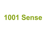 1001 Sense Logo