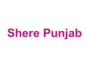 Shere Punjab Logo