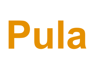 Pula Logo