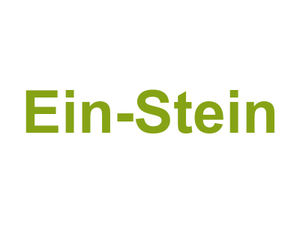 Ein-Stein Logo